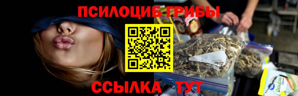 Галлюциногенные грибы GOLDEN TEACHER Богородицк